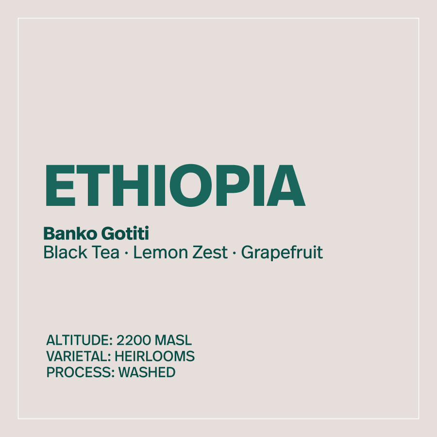 Ethiopia - Banko Gotiti